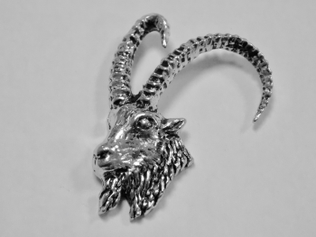 Pins tête de mouflon